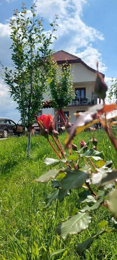 Pensiunea Diana Hotel Novaci Străini Exterior foto