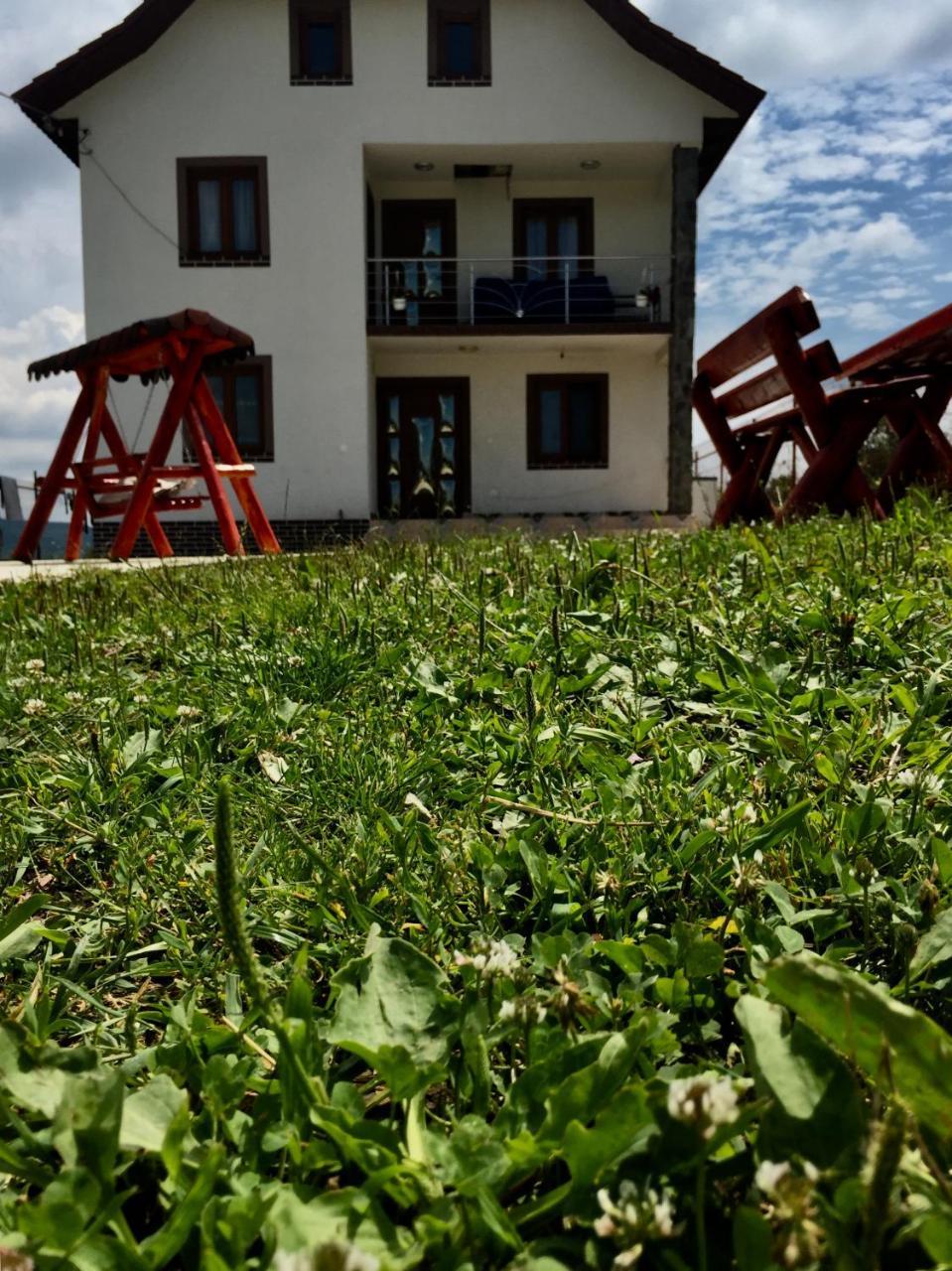 Pensiunea Diana Hotel Novaci Străini Exterior foto