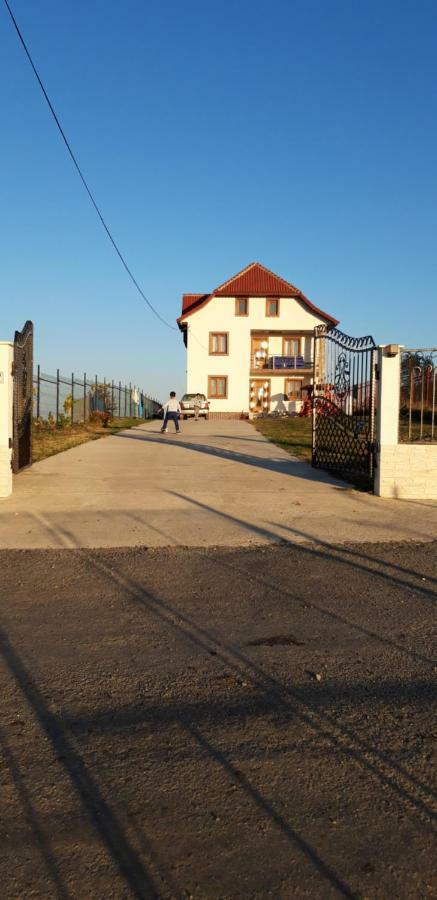 Pensiunea Diana Hotel Novaci Străini Exterior foto